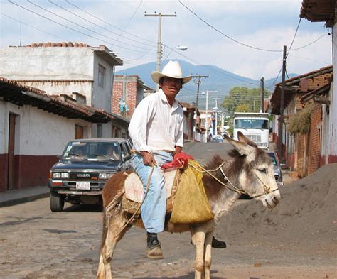 mexico donkey shows|¡Ask a Mexican: Are Donkey Shows Really a Thing in .